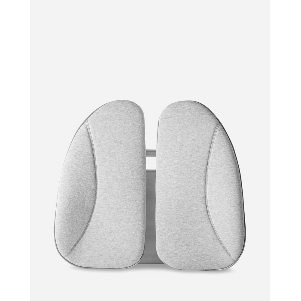 Homedics Back Support Cushion with Cover